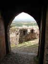 alburquerqueww04.jpg (275447 bytes)