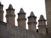 almenacate02.jpg (198330 bytes)
