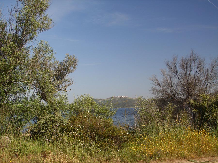 alquevanaturaleza