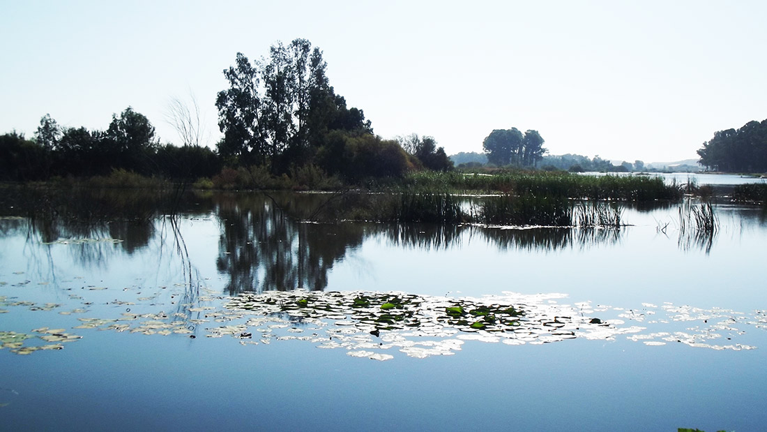 azud este del guadiana