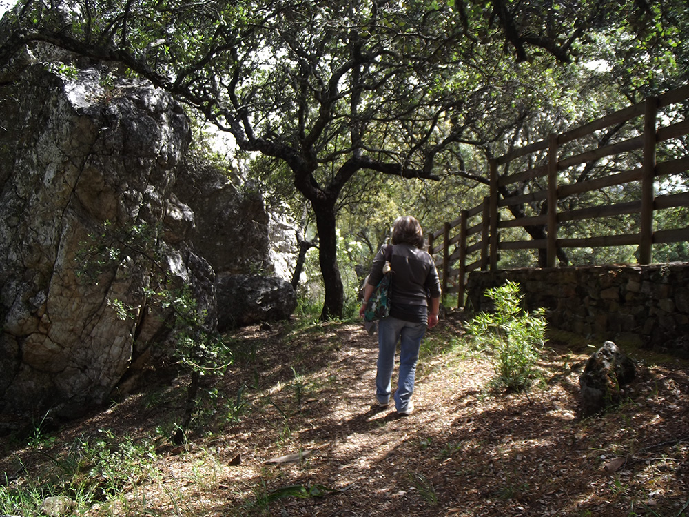 caminos