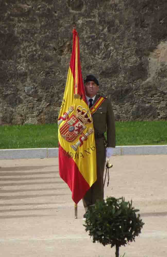 coronela