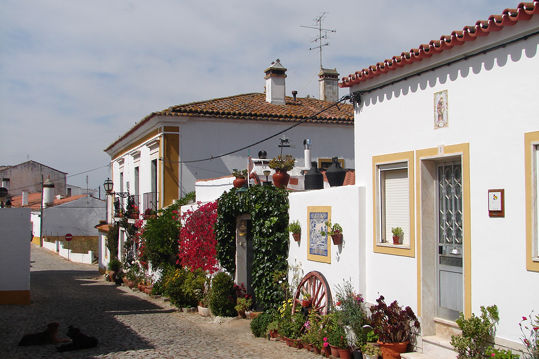 calle de terena