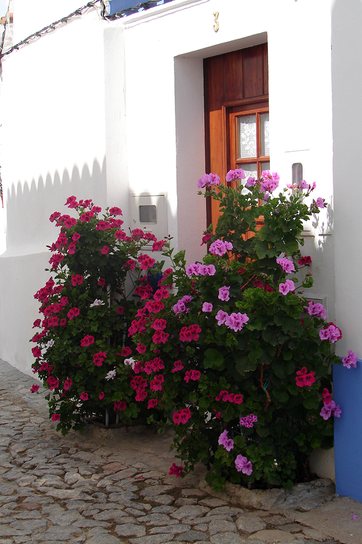 flores en Terena